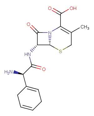 Cephradine