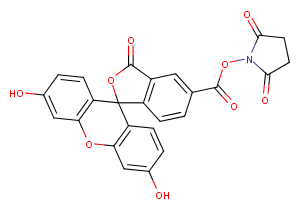 5-FAM SE Chemical Structure