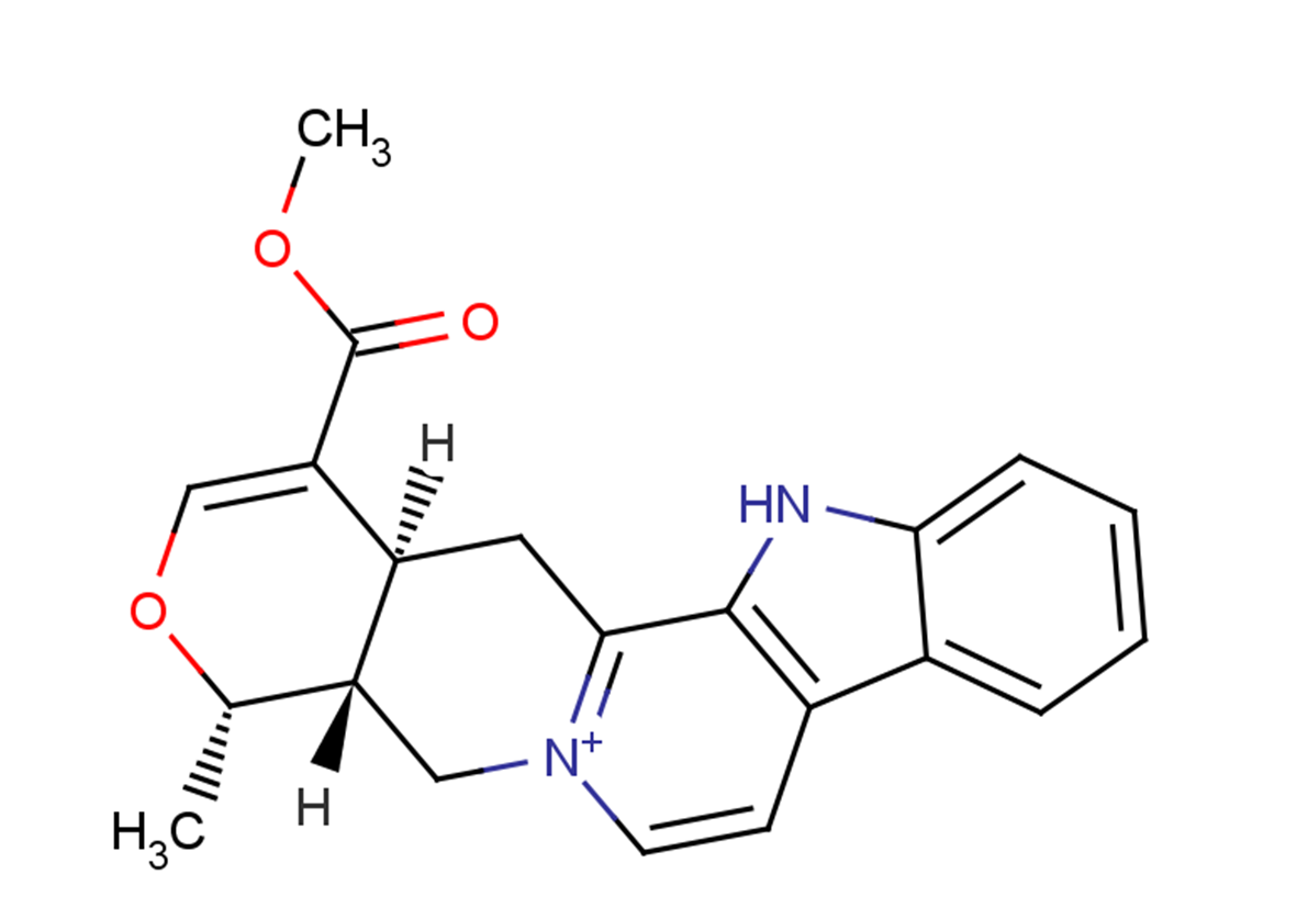 Serpentine