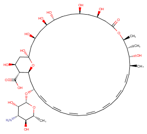 Amphotericin B Chemical Structure