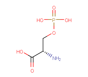 O-Phospho-L-serine