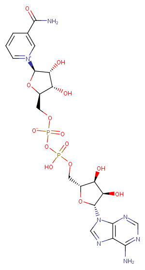 NAD+ Chemical Structure