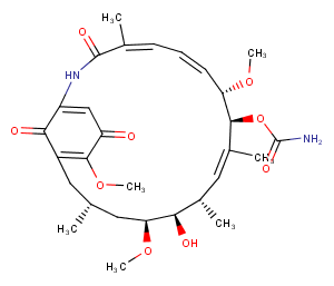 Geldanamycin