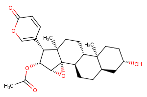 Cinobufagin Chemical Structure