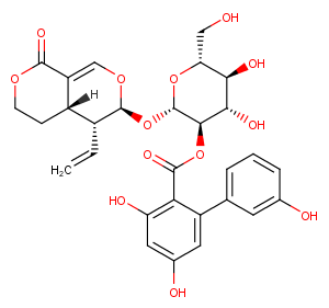 AMAROGENTIN