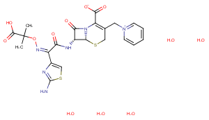 Ceftazidime Pentahydrate