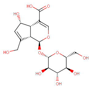 Deacetylasperulosidic Acid