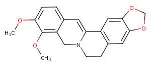 Dihydroberberine Chemical Structure