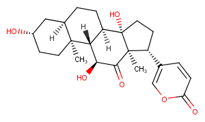 Arenobufagin