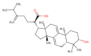 Dehydrotrametenolic acid