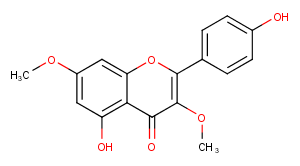 Kumatakenin