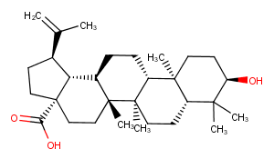 Epibetulinic acid