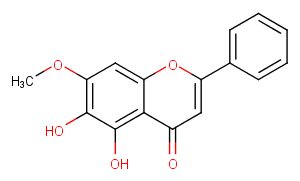 Negletein