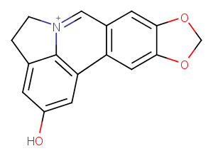 Lycobetaine