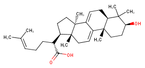 3-Dehydrotrametenolic acid Chemical Structure