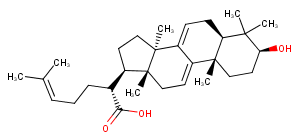 3-Dehydrotrametenolic acid