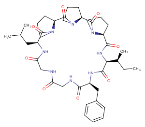 Heterophyllin B