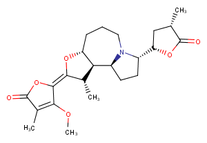 Protostemonine