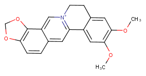 Epiberberine