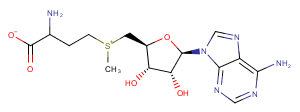 S-Adenosyl-DL-Methionine