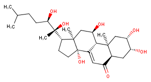 Ajugasterone C Chemical Structure