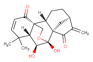 Eriocalyxin B