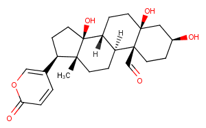 Hellebrigenin