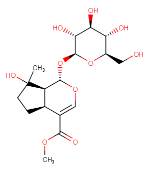 Mussaenoside