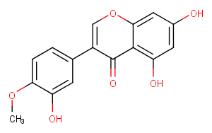 Pratensein