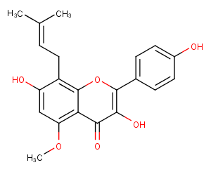 Sophoflavescenol