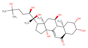 Turkesterone