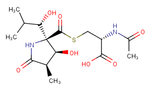 Lactacystin