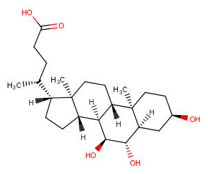 α-Muricholic acid
