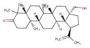 3-Oxobetulin