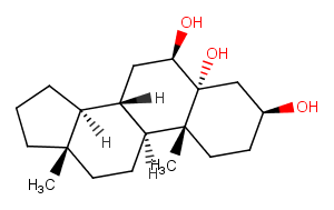 Annaosanchun