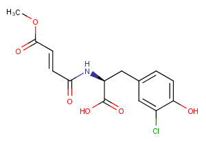 (+)-Xylariamide A Chemical Structure