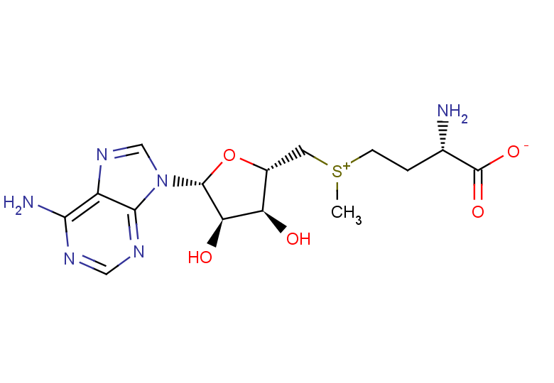 S-Adenosyl-L-methionine