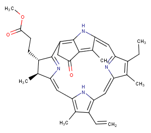 Methyl pyropheophorbide-a | | TargetMol