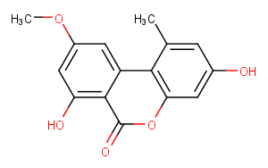 Djalonensone