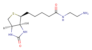 Biotin-EDA Chemical Structure