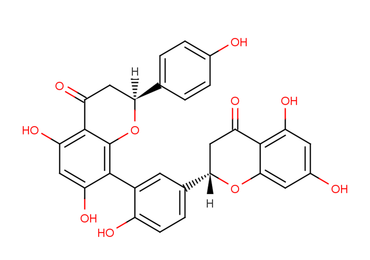 Tetrahydroamentoflavone