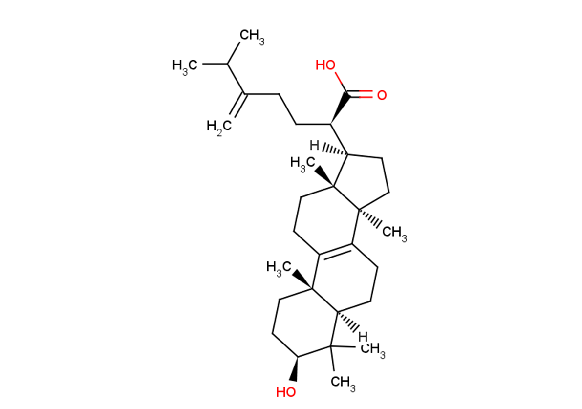 Eburicoic acid