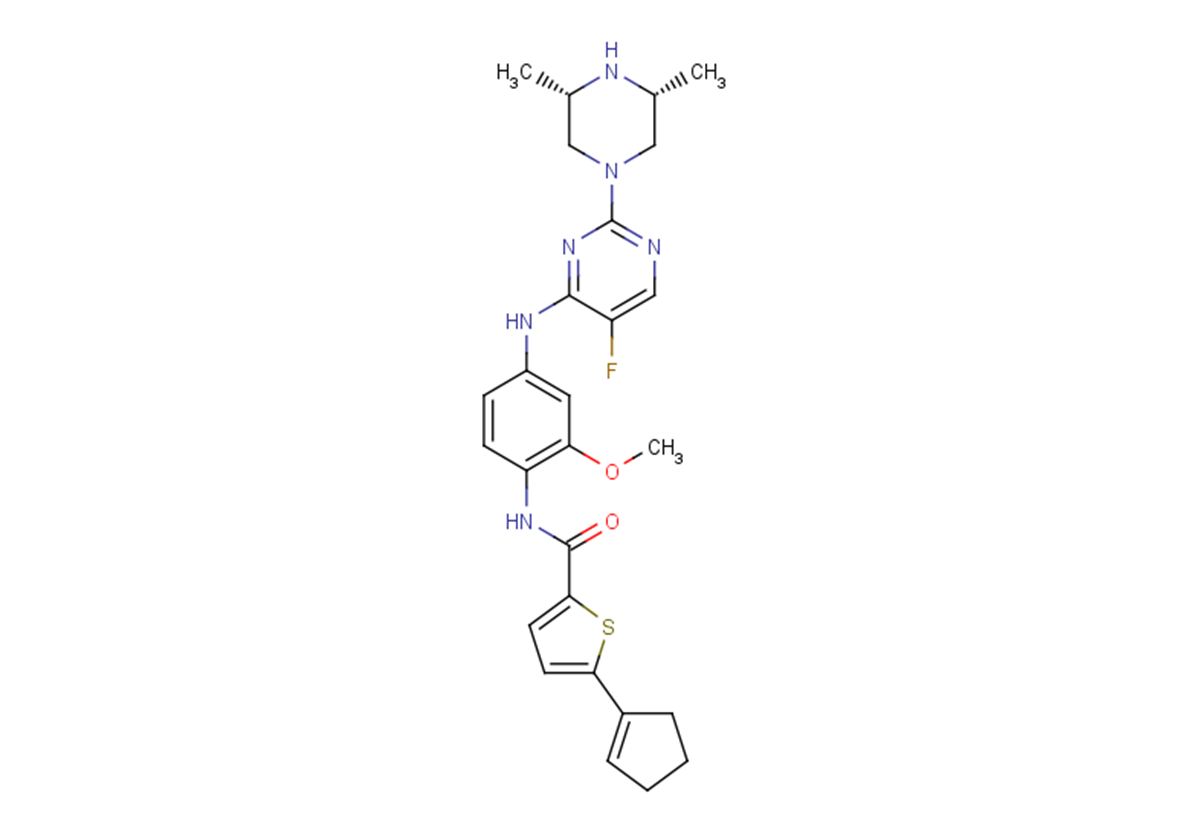 BCL6-IN-6