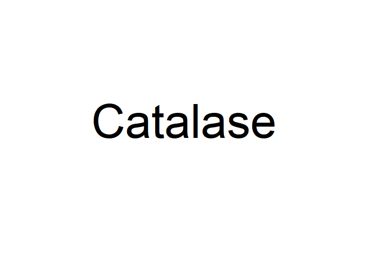 Catalase Chemical Structure