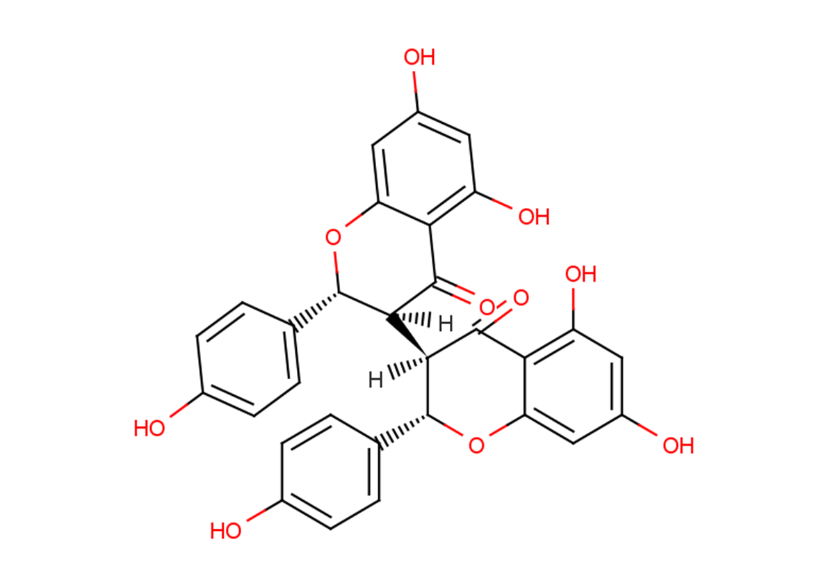 Isochamaejasmine