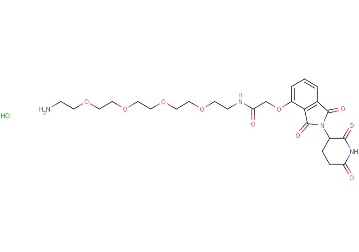 Thalidomide-O-amido-PEG4-C2-NH2 hydrochloride