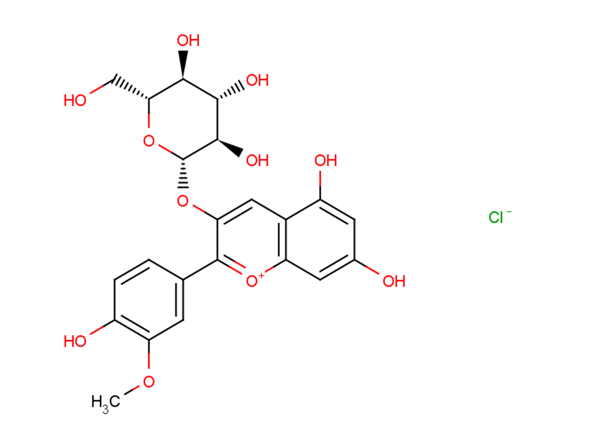 Peonidin-3-O-glucoside chloride Chemical Structure