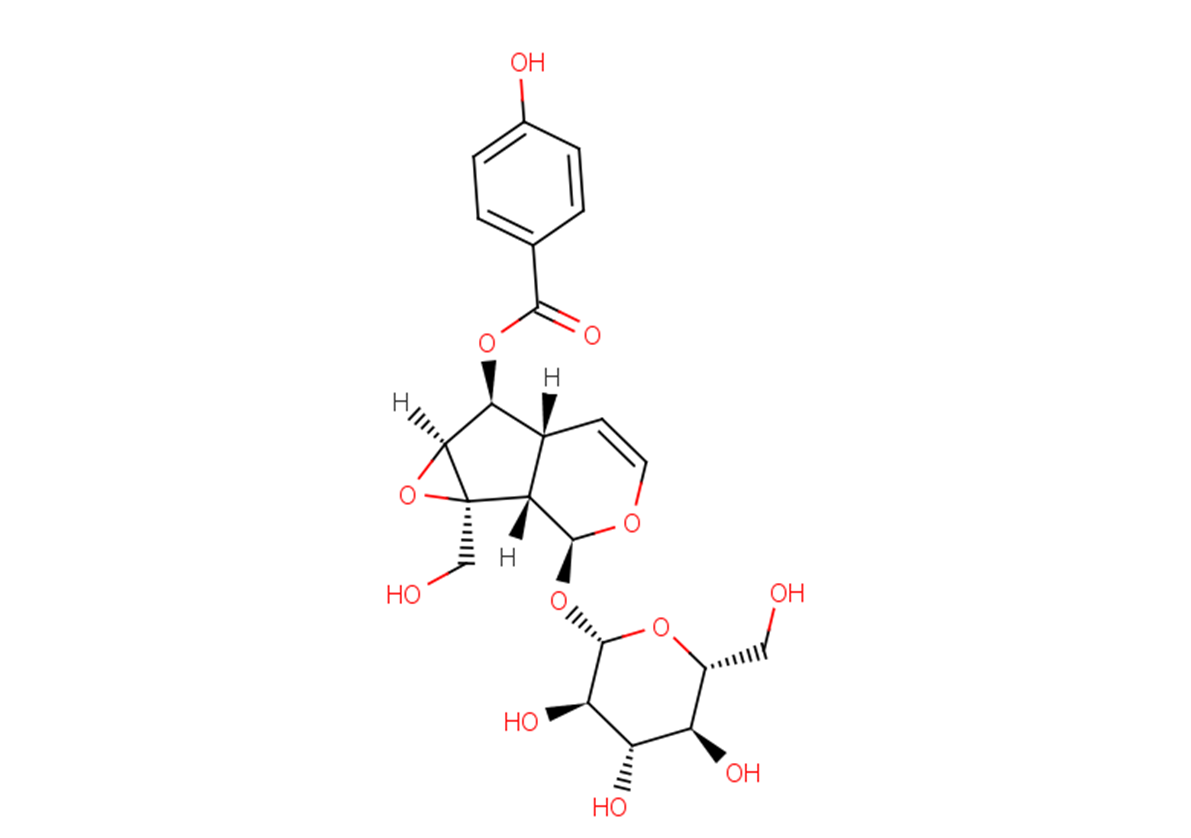 Catalposide