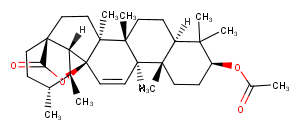 3-Acetoxy-11-ursen-28,13-olide