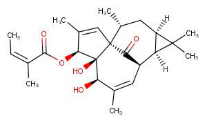 20-Deoxyingenol 3-angelate